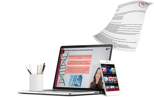 lp_mockup_banner lp_mockup_banner